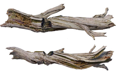 stump on a transparent background
