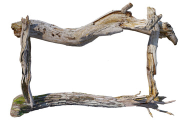stump on a transparent background
