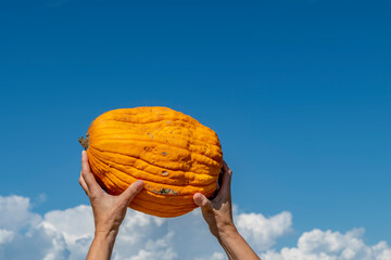 A pumpkin is raised against the blue sky by female hands, as if it were a rugby ball