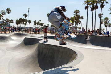 Skater palm Venice Beach Los Angeles California