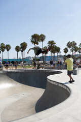 Skater palm Venice BeachLos Angeles California