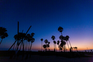 Sunset palm Venice Beach Los Angeles California