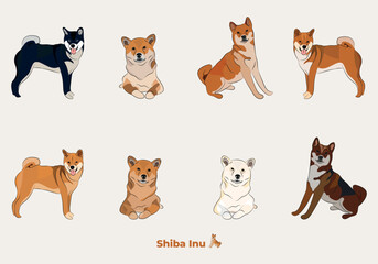 Shiba Inu breed, dog pedigree drawing. Cute dog characters in various poses, designs for prints adorable and cute Shiba cartoon vector set, in different poses.