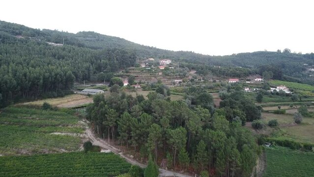 Aerial View  of a small countryside village in the midle of green area. Sheds and small houses on the edge of a pine and eucalyptus forest. Simple and sustainable life. Family farming. 