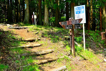 西丹沢の世附峠
世附峠は西丹沢の南西、神奈川県と静岡県との県境尾根（神奈川・静岡県境尾根）に位置する峠。神奈川・静岡県境尾根の不老山の西に位置する。峠の東西には主となる県境尾根の登山コースが走り、また南北には山北町と小山町を横断する林道や登山道が走っていて、昔は神奈川県と静岡県を越境するための要所の峠としての役割が大きかったようだ。現在では小山町に向かう登山道は世附川に架かる吊り橋が崩落するなど、