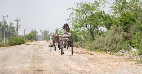 villager is traveling on a donkey buggy  - obrazy, fototapety, plakaty