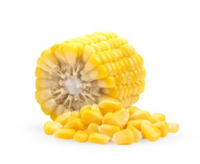 Sweet corn isolated on alpha layer png