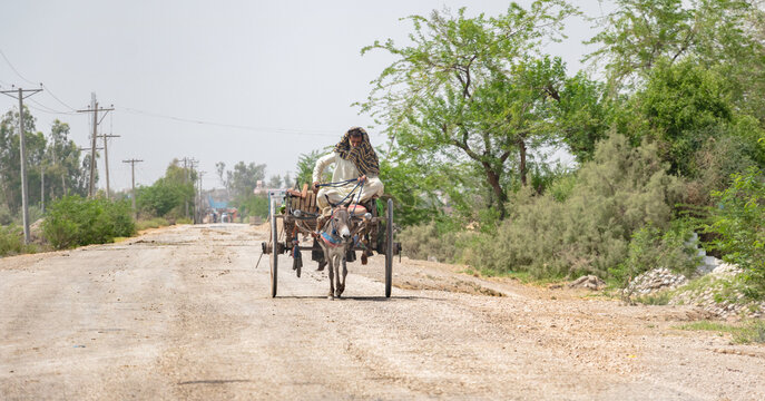 villager is traveling on a donkey buggy 