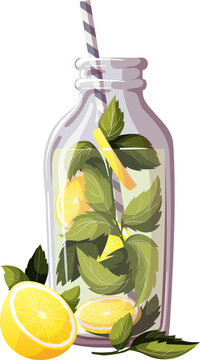 Bottle of Lemon Water. Detox drink illustration