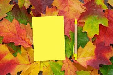 Naklejka na ściany i meble Yellow mock up blank for copy space and pen on natural Autumn leaves frame
