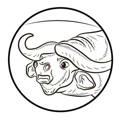 Large wild animal buffalo, black and white image of a buffalo head,
 linear drawing.
Icon, symbol. Vector drawing.
