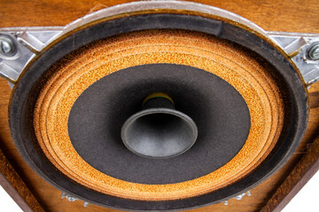 Close up of full range driver in vintage speaker