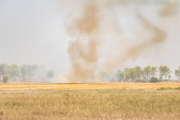 Fototapeta na wymiar bonfire in barley fields in dried weather 
