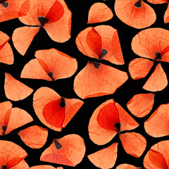 Materiał do szycia Bright red wild poppies seamless pattern on black background. Surface design for interior decoration, textile printing, printed issues, invitation cards flowers