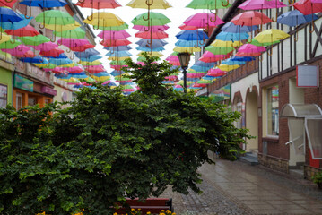 CITY LANDSCAPE - A green plant on the walking passage under colorful umbrellas
