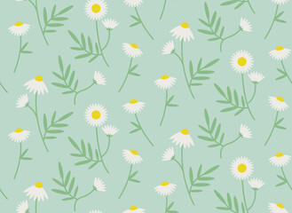 Seamless pattern with daisies. Texture with wildflowers in flat style.