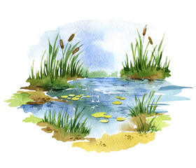 Watercolor illustration duck pond with grass and reeds, swamp - obrazy, fototapety, plakaty