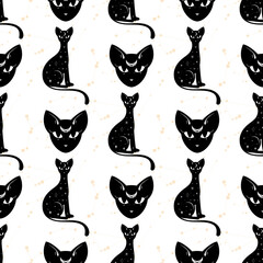 Seamless pattern with a cat. Mystical pattern. Black cat, halloween, Sun, stars, moon, moon phases. Vector. - obrazy, fototapety, plakaty