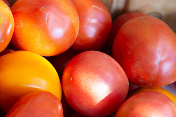 Yellow and red tomatoes close up