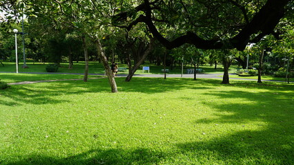 Chatuchak Park in Bangkok, Thailand