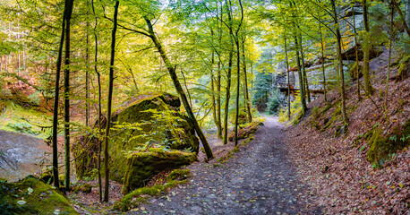 Panoramic view over magical enchanted fairytale forest with moss, lichen, fern and river at the hiking trail Malerweg, Polenztal part in the national park Saxon Switzerland, Saxony, Germany