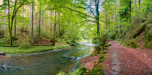 Panoramic view over magical enchanted fairytale forest with moss, lichen, fern and river at the hiking trail Malerweg, Polenztal part in the national park Saxon Switzerland, Saxony, Germany © neurobite