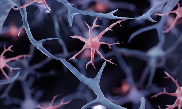 Glial Cell, Microglia Illustration