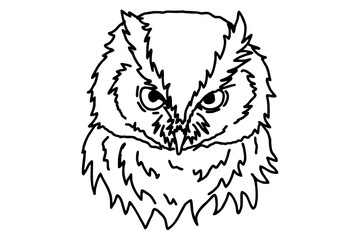 Owl Head Line Art Vector