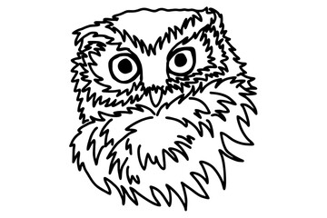 Owl Head Line Art Vector