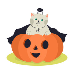Funny kitten wearing a black cloak and jack-o-lantern pumpkin. Hand drawn vector illustration. Great for  Halloween posters, greeting cards