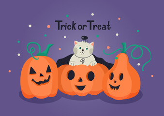 Trick or treat Halloween greeting card with cute kitten and jack-o-lantern pumpkins. Hand drawn lettering and vector illustration.