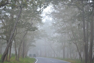 road in the fog