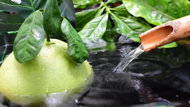 Flowing water, natural bamboo trough, green leaves, floating grapefruit.