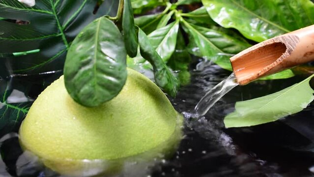 Grapefruit fruit juice flowing pipe natural bamboo trough green leaves