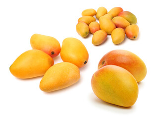 mangos on a white background 