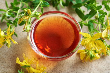 A bowl of red oil made of fresh St. John's wort flowers