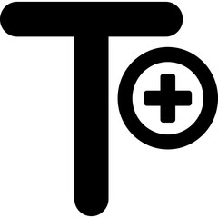 text add Isolated Vector Icon

