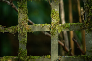 Antique fence overgrown with moss close-up.