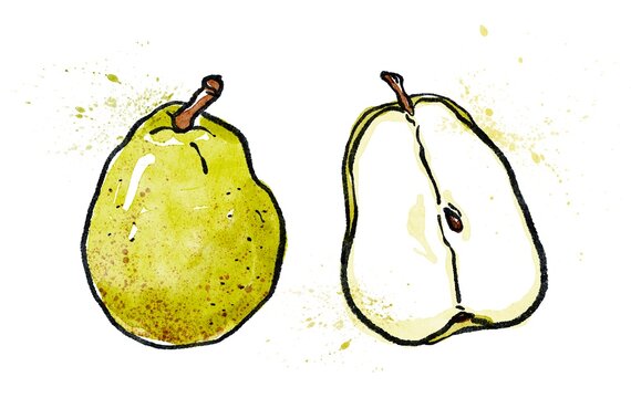 手書きイラスト Images Browse 1 107 Stock Photos Vectors And Video Adobe Stock