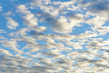 blue sky with altocumulus clouds - obrazy, fototapety, plakaty