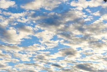 blue sky with altocumulus clouds - obrazy, fototapety, plakaty