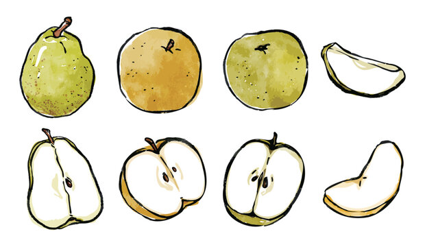 手書きイラスト Images Browse 1 136 Stock Photos Vectors And Video Adobe Stock