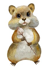 Hamster  on a white background