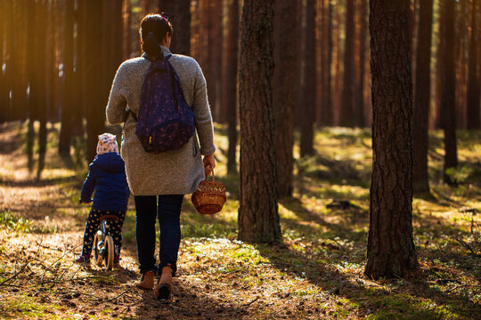 Woman with her child are walking in autumn forest ang picking up the mushrooms to wooden basket.