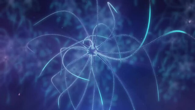 Neuron connection 3D render. Neuronal activity in the brain, Single Neuron animation