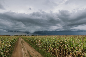 storm over the cornfield and road