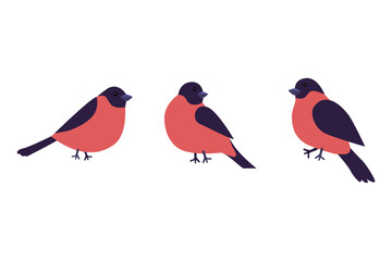 Set of illustrations of bullfinches on a white background