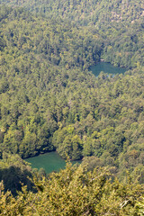 Obraz premium Lake hidden in the forest. View of forest and lake from above. Bolu Yedigoller