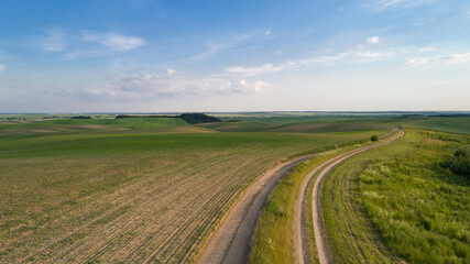  dirt road near the forest. Summer landscape with field, forest and picturesque sky 