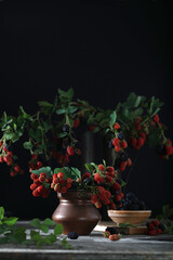 Mulberry berries on the branches. Fresh mulberries in a vase, plate on dark background. Dark mood photo. Copy space